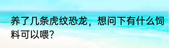 养了几条虎纹恐龙，想问下有什么饲料可以喂？