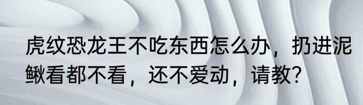 虎纹恐龙王不吃东西怎么办，扔进泥鳅看都不看，还不爱动，请教？