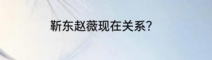 靳东赵薇现在关系？