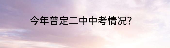 今年普定二中中考情况？