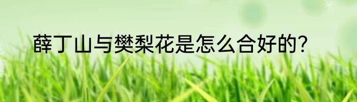 薛丁山与樊梨花是怎么合好的？