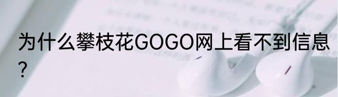 为什么攀枝花GOGO网上看不到信息？