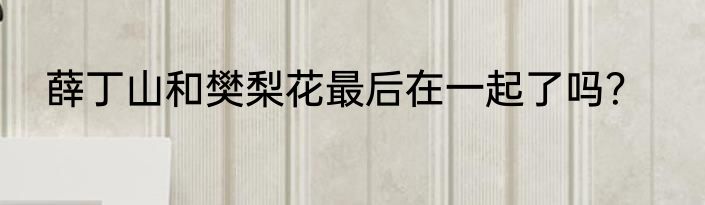 薛丁山和樊梨花最后在一起了吗？