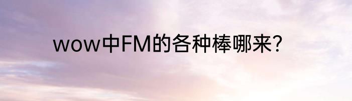 wow中FM的各种棒哪来？