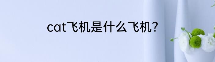 cat飞机是什么飞机？