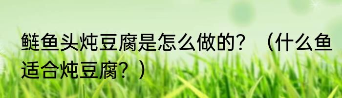 鲢鱼头炖豆腐是怎么做的？（什么鱼适合炖豆腐？）