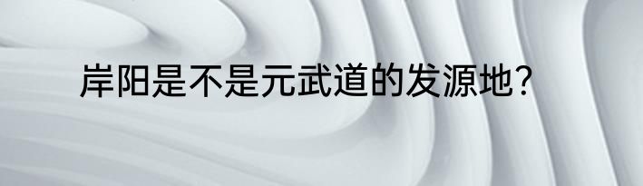 岸阳是不是元武道的发源地？