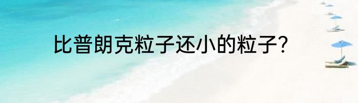 比普朗克粒子还小的粒子？