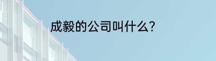 成毅的公司叫什么？