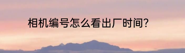 相机编号怎么看出厂时间？