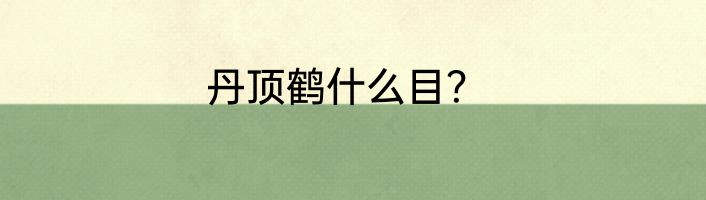 丹顶鹤什么目？