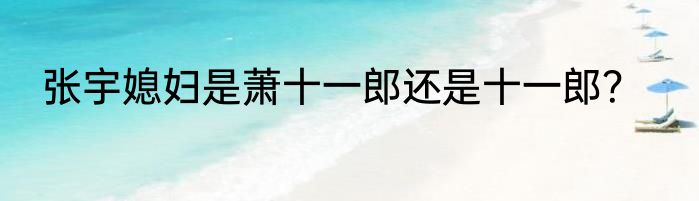 张宇媳妇是萧十一郎还是十一郎？