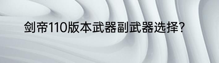 剑帝110版本武器副武器选择？