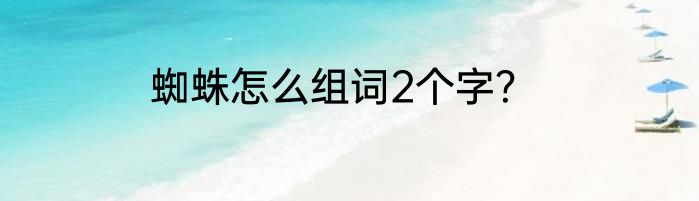 蜘蛛怎么组词2个字？