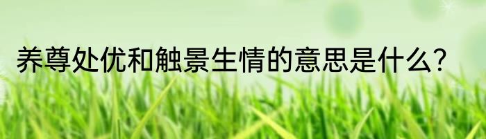 养尊处优和触景生情的意思是什么？