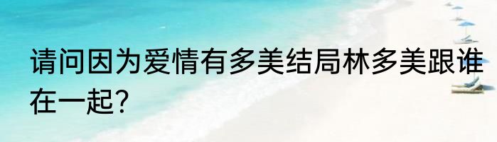 请问因为爱情有多美结局林多美跟谁在一起？