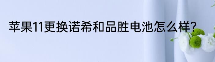 苹果11更换诺希和品胜电池怎么样？