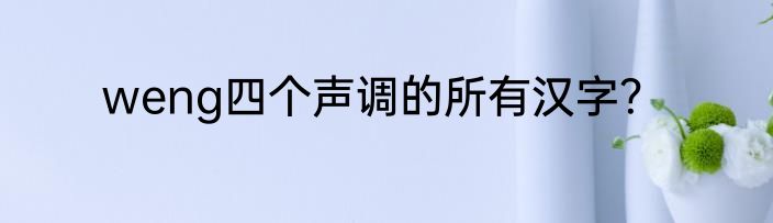 weng四个声调的所有汉字？