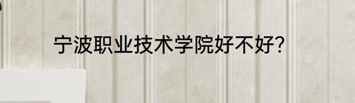 宁波职业技术学院好不好？