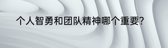 个人智勇和团队精神哪个重要？