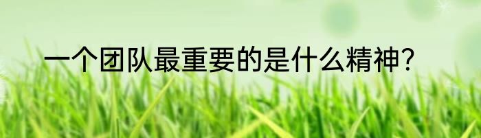 一个团队最重要的是什么精神？