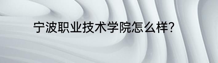 宁波职业技术学院怎么样？