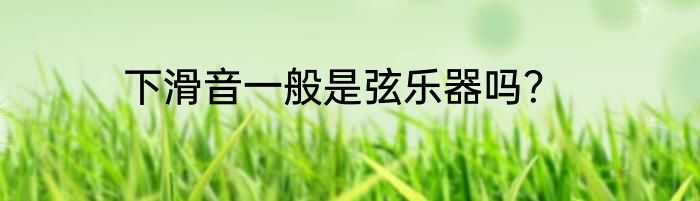 下滑音一般是弦乐器吗？