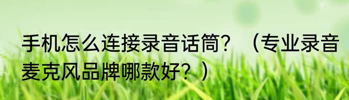手机怎么连接录音话筒？（专业录音麦克风品牌哪款好？）