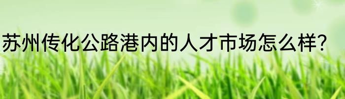 苏州传化公路港内的人才市场怎么样？
