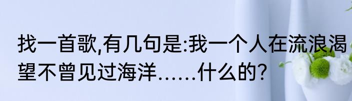 找一首歌,有几句是:我一个人在流浪渴望不曾见过海洋……什么的？