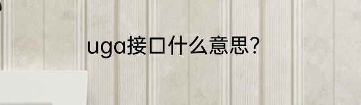 uga接口什么意思？