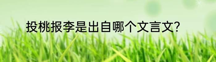 投桃报李是出自哪个文言文？