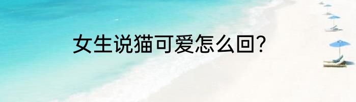 偷星九月天沧月资料？