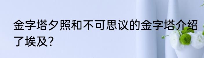 金字塔夕照和不可思议的金字塔介绍了埃及？