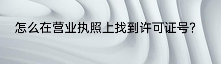 怎么在营业执照上找到许可证号？