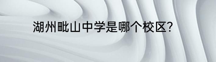 湖州毗山中学是哪个校区？