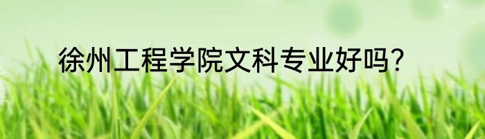 徐州工程学院文科专业好吗？