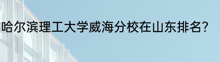 哈尔滨理工大学威海分校在山东排名？