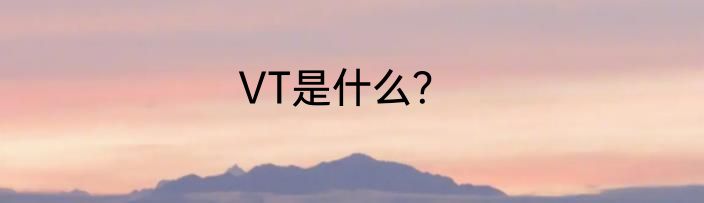 VT是什么？