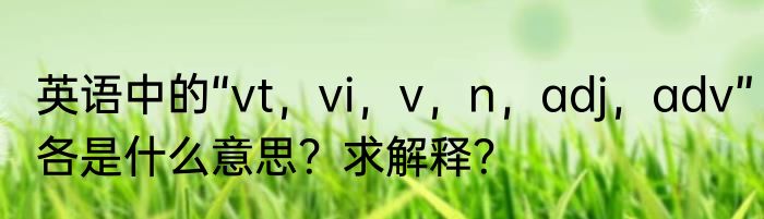 英语中的“vt，vi，v，n，adj，adv”各是什么意思？求解释？