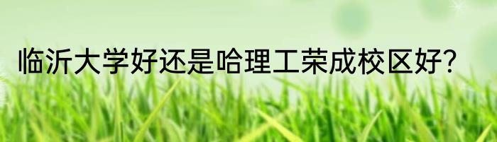 临沂大学好还是哈理工荣成校区好？