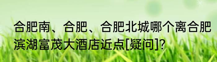 合肥南、合肥、合肥北城哪个离合肥滨湖富茂大酒店近点[疑问]？