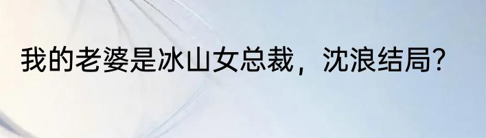 我的老婆是冰山女总裁，沈浪结局？