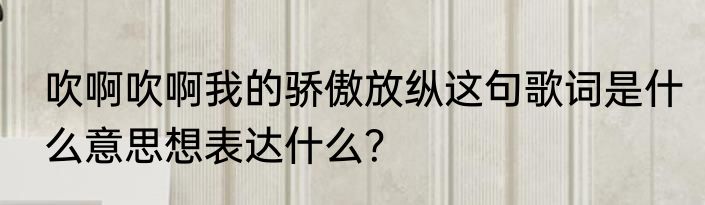 吹啊吹啊我的骄傲放纵这句歌词是什么意思想表达什么？