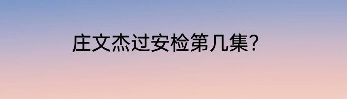 庄文杰过安检第几集？