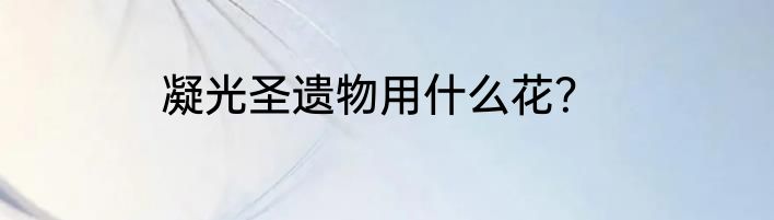 凝光圣遗物用什么花？