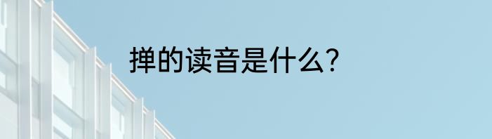 掸的读音是什么？