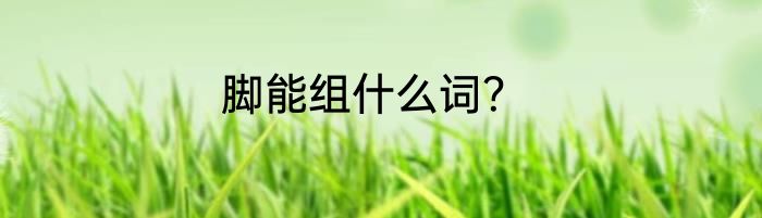 脚能组什么词？