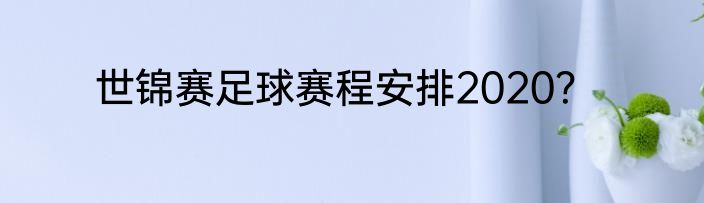 世锦赛足球赛程安排2020？