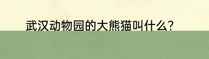 武汉动物园的大熊猫叫什么？